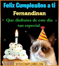 GIF Gato meme Feliz Cumpleaños Fernandinan